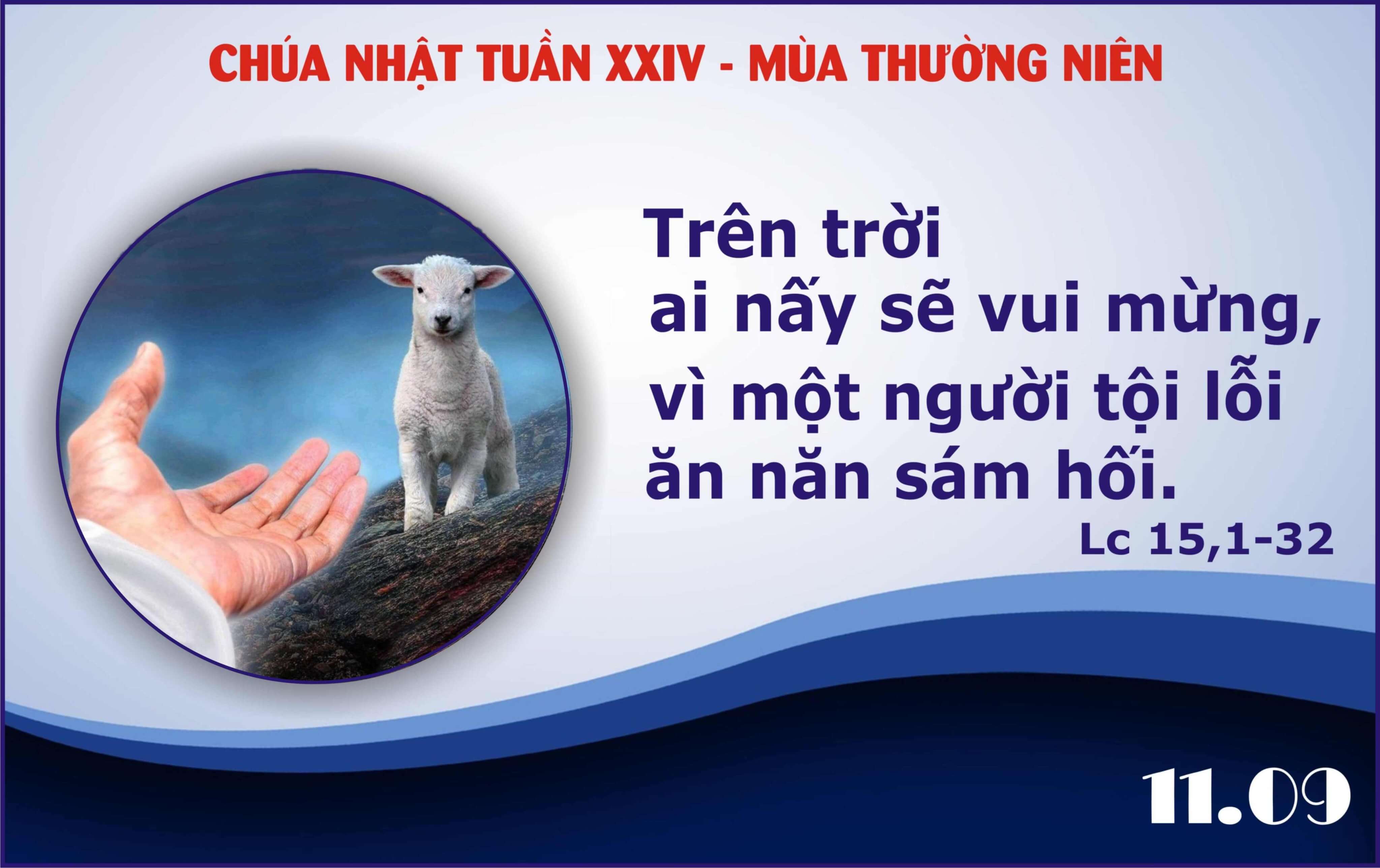 suy niệm lời Chúa chúa nhật 24 thường niên