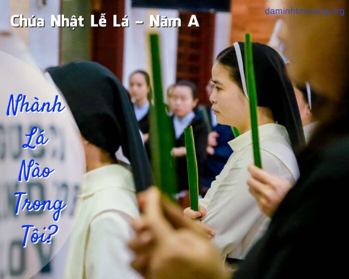 Nhành lá nào trong tôi - Hiệp Hội Đa Minh Tin Mừng