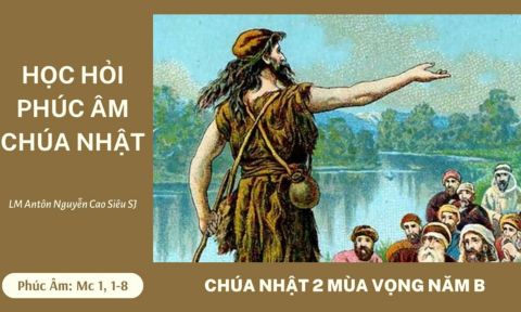 Học Hỏi Phúc Âm Chúa Nhật 2 Mùa Vọng Năm B