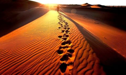 Sứ Điệp Của Đức Thánh Cha Phanxicô - Mùa Chay 2024