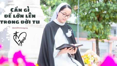 CẦN GÌ TRONG ĐỜI TU ĐỂ LỚN LÊN ?