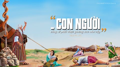 Suy niệm Lời Chúa Chúa Nhật IV Mùa Chay B PHÚC - TỘI