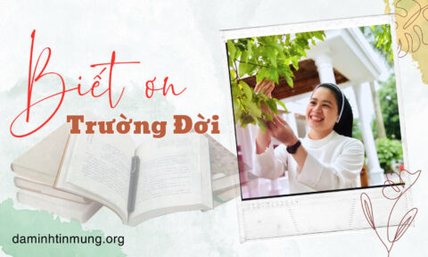 Biết-ơn-trường-đời