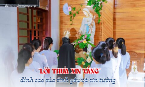 Loi-thua-xin-vang-dinh-cao-cua-tinh-yeu-va-tin-tương